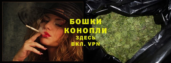 тгк Ельня