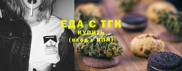 тгк Ельня
