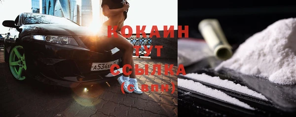 тгк Ельня