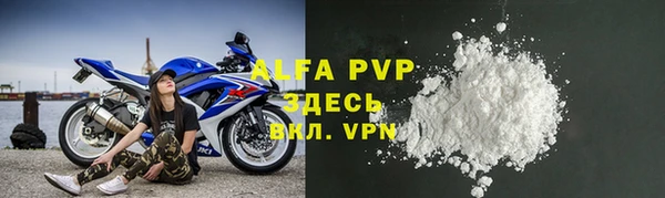 мяу мяу мука Елабуга