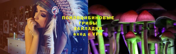 тгк Ельня