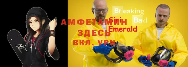 мяу мяу мука Елабуга