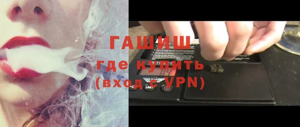 тгк Ельня