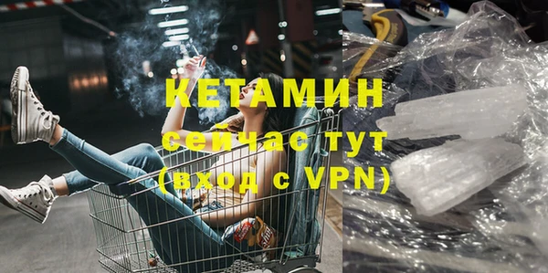 тгк Ельня