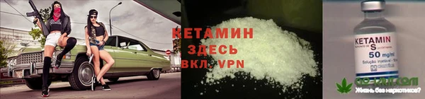 тгк Ельня