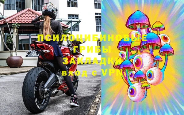 тгк Ельня