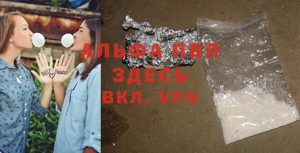 тгк Ельня