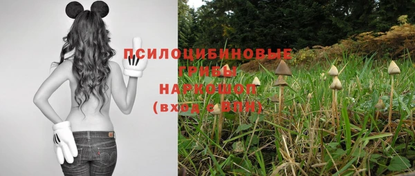 мяу мяу мука Елабуга