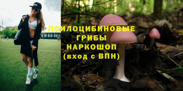 мяу мяу мука Елабуга