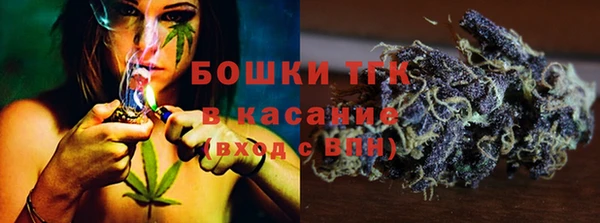 тгк Ельня