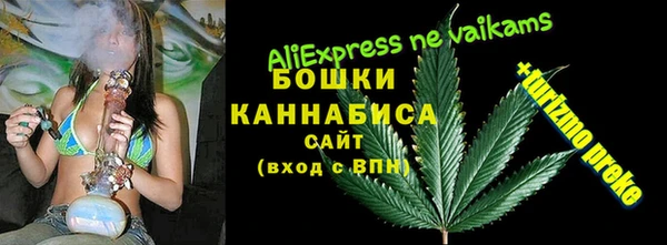 мяу мяу мука Елабуга