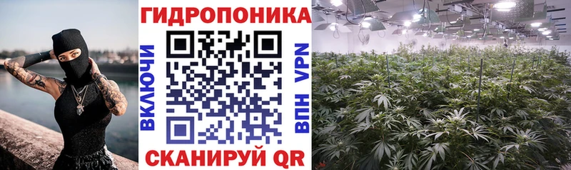 Шишки марихуана гибрид Саяногорск