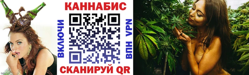 Купить где  Саяногорск  Конопля сатива 
